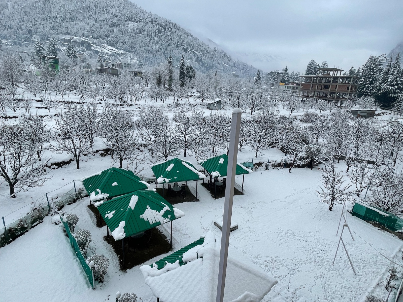 Snow covered garden